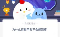 为什么剪指甲时不会感到疼?支付宝蚂蚁庄园8月30日答案