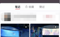 小红书怎么添加陌生人?小红书添加陌生人方法