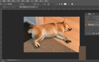 Photoshop图层样式在哪里?Photoshop图层样式查看方法